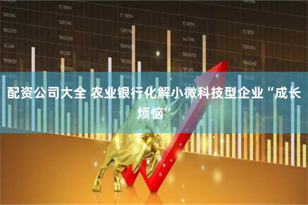 配资公司大全 农业银行化解小微科技型企业“成长烦恼”