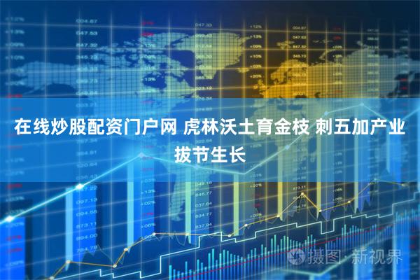 在线炒股配资门户网 虎林沃土育金枝 刺五加产业拔节生长