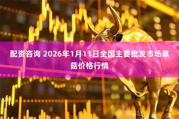 配资咨询 2026年1月11日全国主要批发市场草菇价格行情